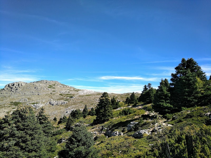 Majestic Wilderness in Málaga - Parque Nacional Sierra de las Nieves