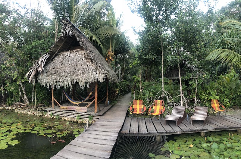 Tropical Retreat at Hotelito Perdido - Hotelito Perdido