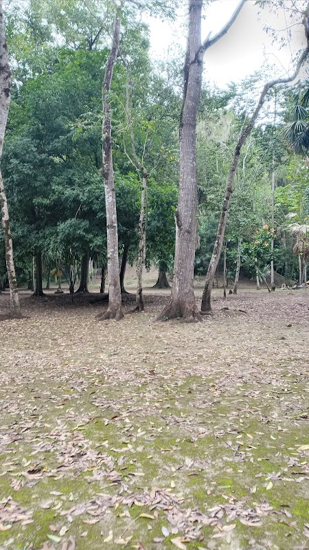 Exploring La Joyanca: A Hidden Gem in Petén - La Joyanca
