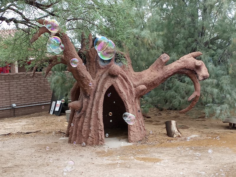 Enchanted Exploration at Valley of the Moon - Valley of the Moon