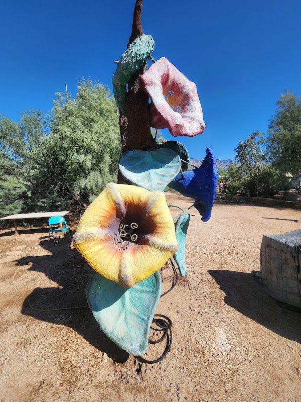 Enchanted Exploration at Valley of the Moon - Valley of the Moon