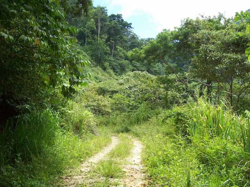 Jungle Adventures: Nacional Capiro Parque - Nacional Capiro Parque