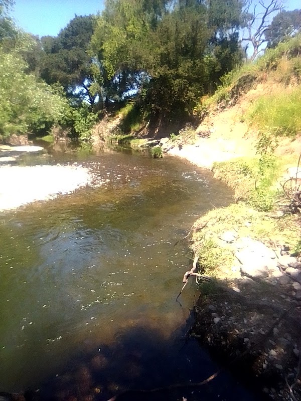 Discover the Natural Wonders of Valley of the Moon - Valley of the Moon