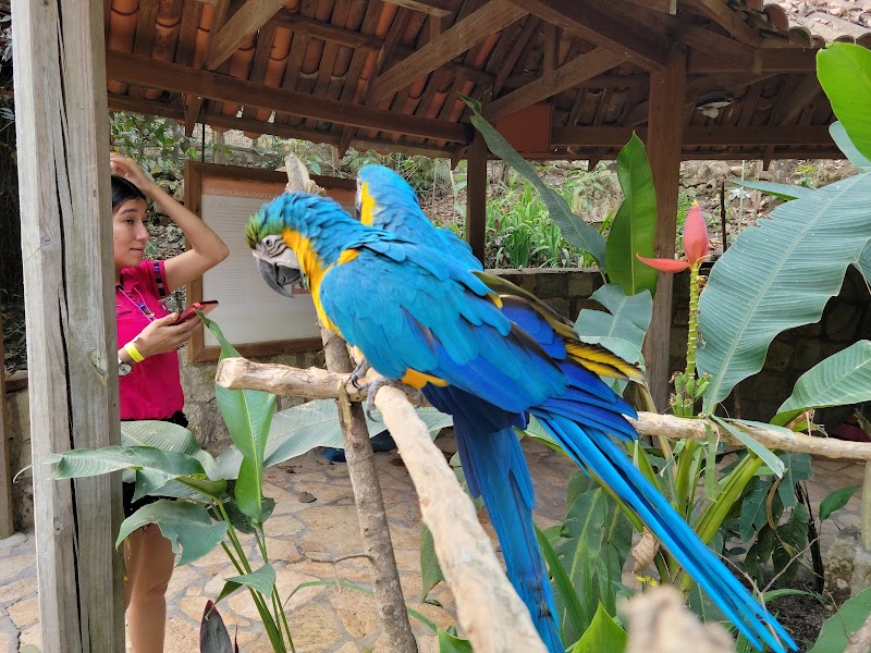 A Colorful Retreat at Parque de Aves - Parque de Aves