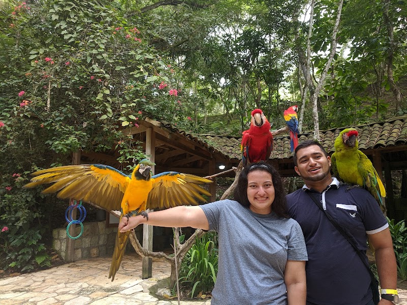 A Colorful Retreat at Parque de Aves - Parque de Aves