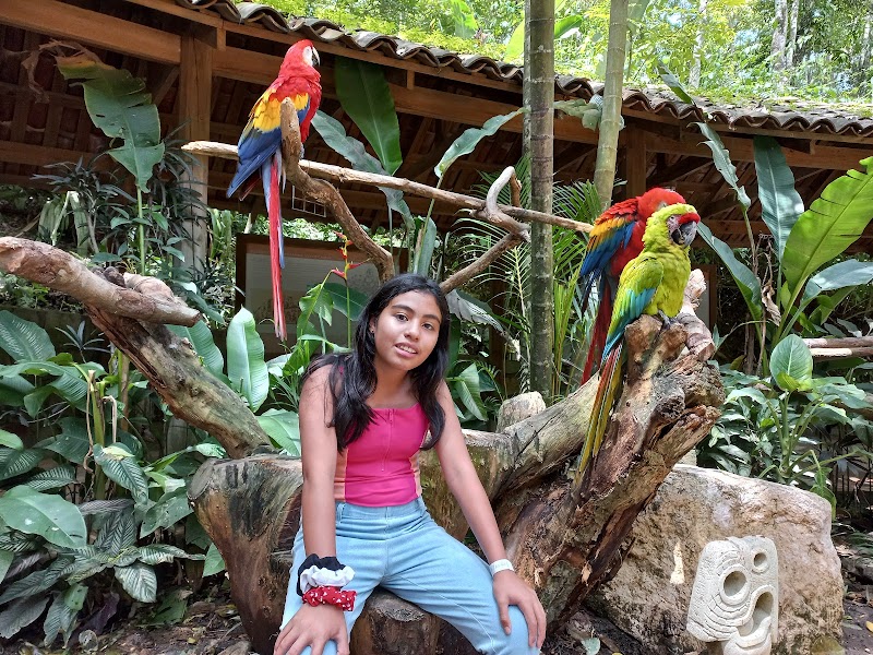 A Colorful Retreat at Parque de Aves - Parque de Aves