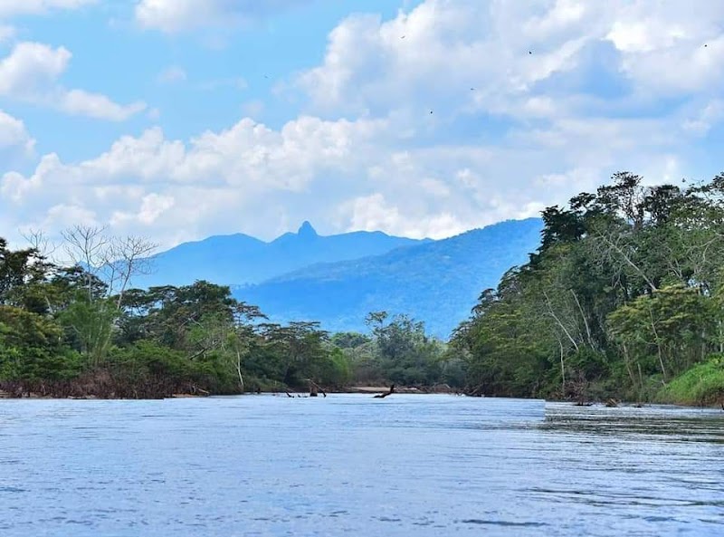 Nature's Wonderland: Reserva de la Biósfera del Río Plátano - Reserva de la Biósfera del Río Plátano