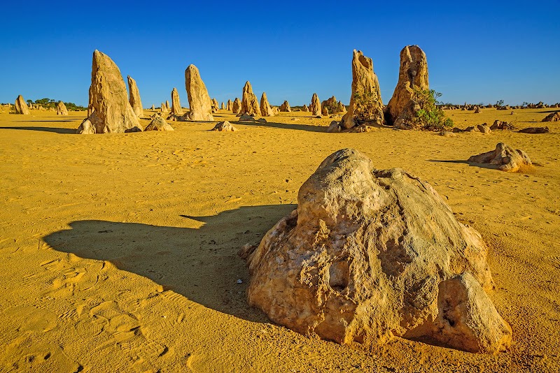 Nature's Sculptures: The Pinnacles Desert - The Pinnacles Desert