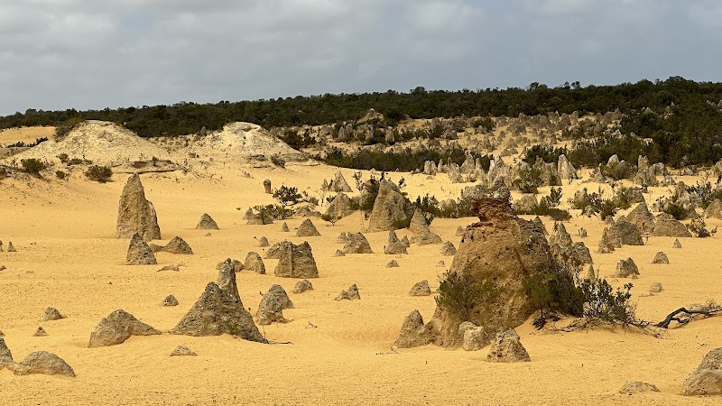 Nature's Sculptures: The Pinnacles Desert - The Pinnacles Desert