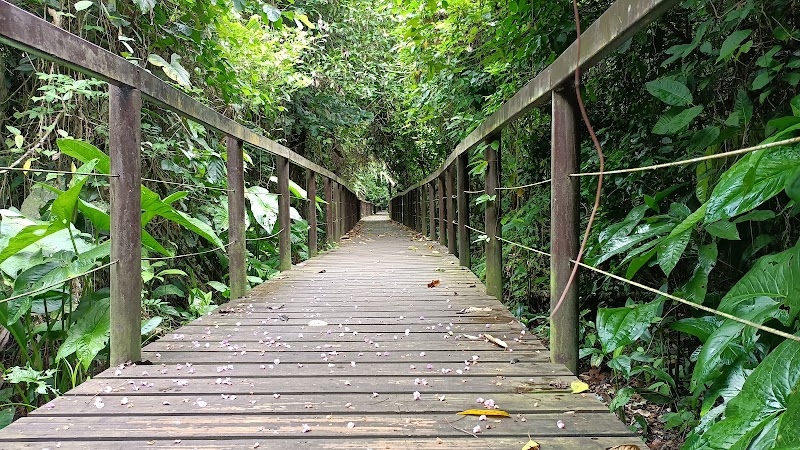 Tropical Trails in Cahuita - Parque Nacional Cahuita
