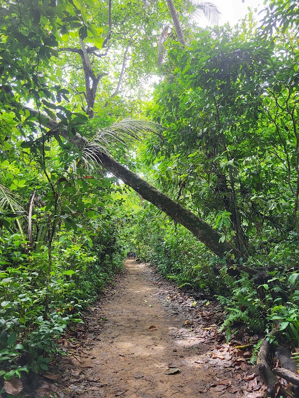 Puerto Viejo, Limón adventures