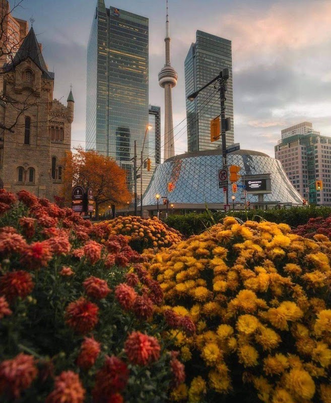 Waterfront Wonders: Exploring Toronto's Scenic Shores - Toronto