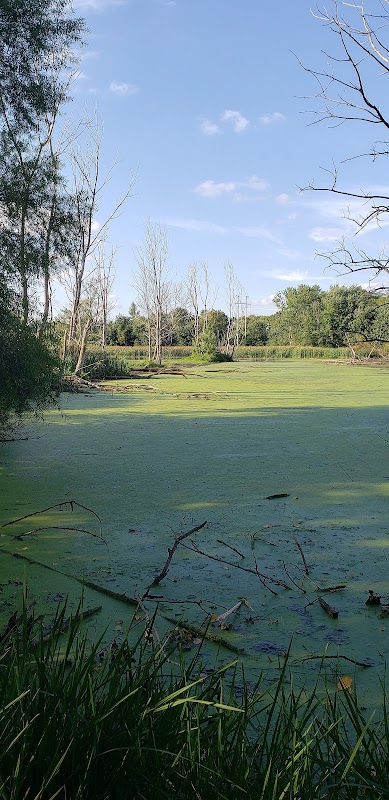 Nature's Retreat: George Bareis Nature Preserve surrounding landscape