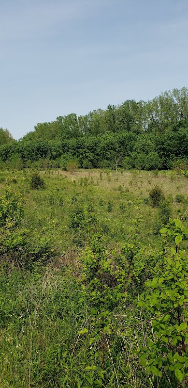 Nature's Retreat: George Bareis Nature Preserve - George Bareis Nature Preserve