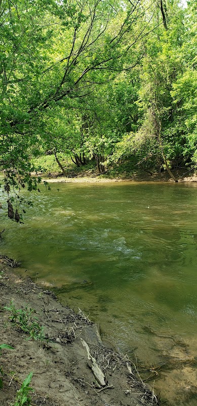 Nature's Retreat: George Bareis Nature Preserve - George Bareis Nature Preserve
