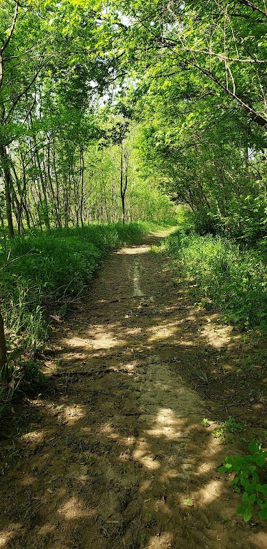 Nature's Retreat: George Bareis Nature Preserve - George Bareis Nature Preserve