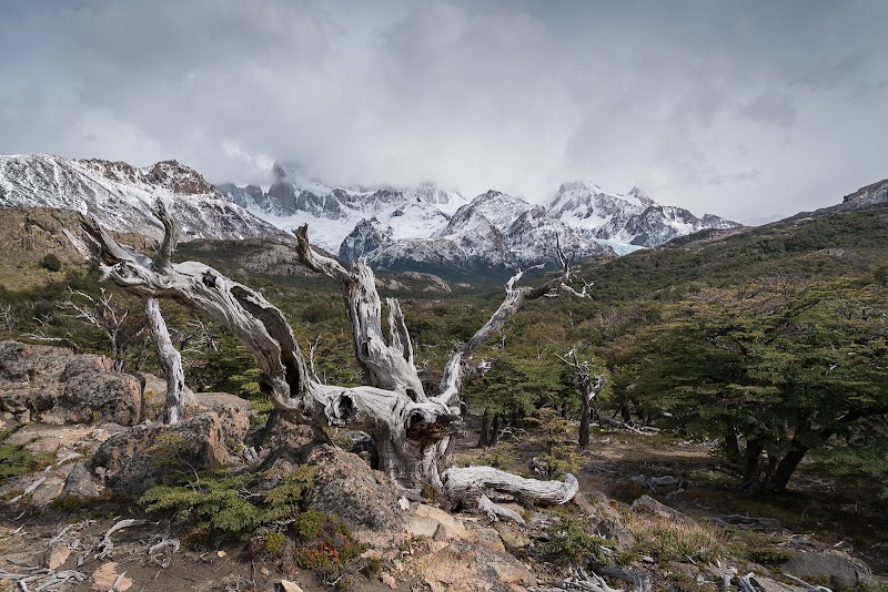 Majestic Views at Mirador del Fitz Roy - Mirador del Fitz Roy