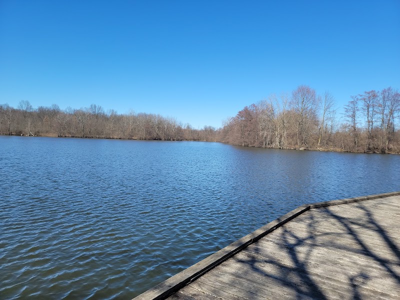 Autumn Wonders at Sharon Woods surrounding landscape