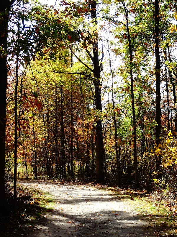 Autumn Wonders at Sharon Woods outdoor detail