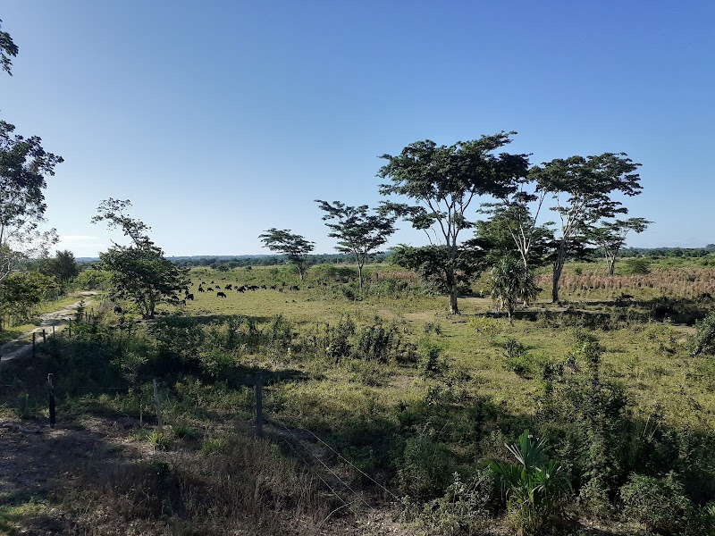 Nature's Wonderland: Parque Nacional Laguna del Tigre - Parque Nacional Laguna del Tigre