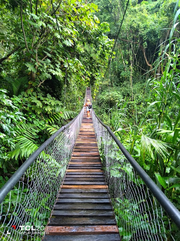 Natural Wonders of Reserva Natural Atitlán - Reserva Natural Atitlán