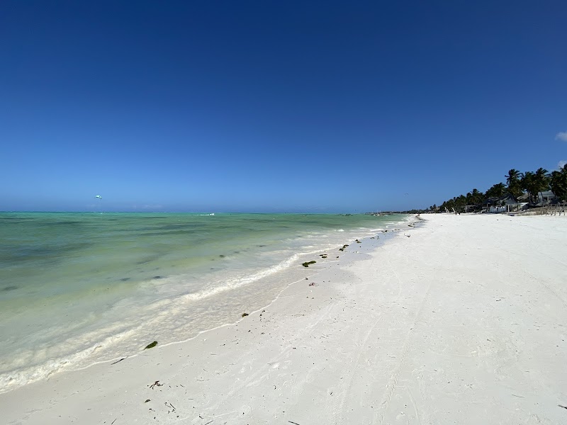 Beach Bliss at Jambiani - Jambiani Beach