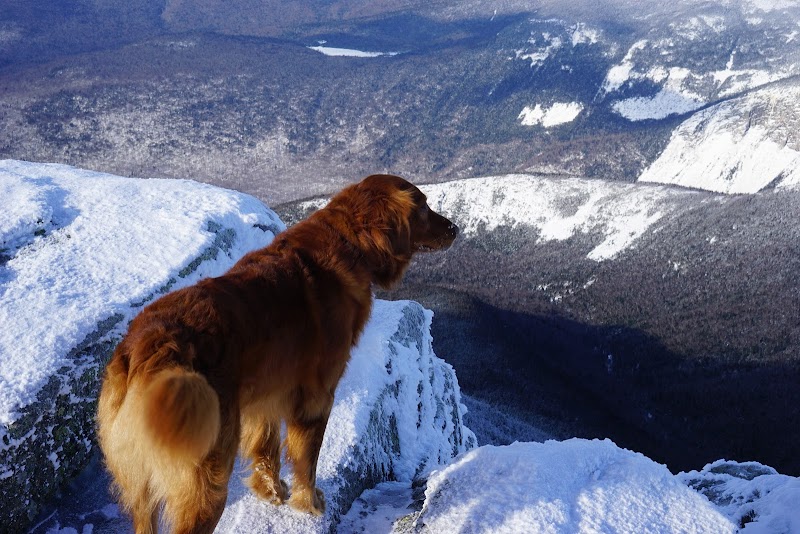 Mountain Majesty: Mount Lincoln in Franconia, NH - Mount Lincoln