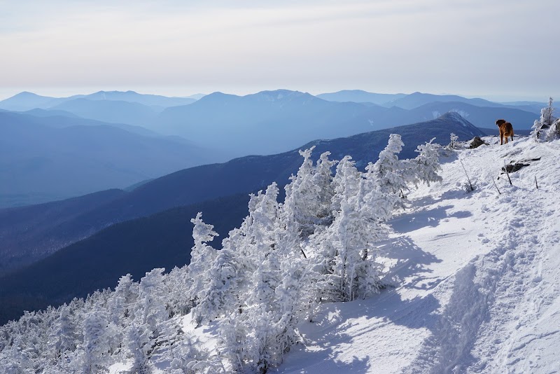 Mountain Majesty: Mount Lincoln in Franconia, NH - Mount Lincoln