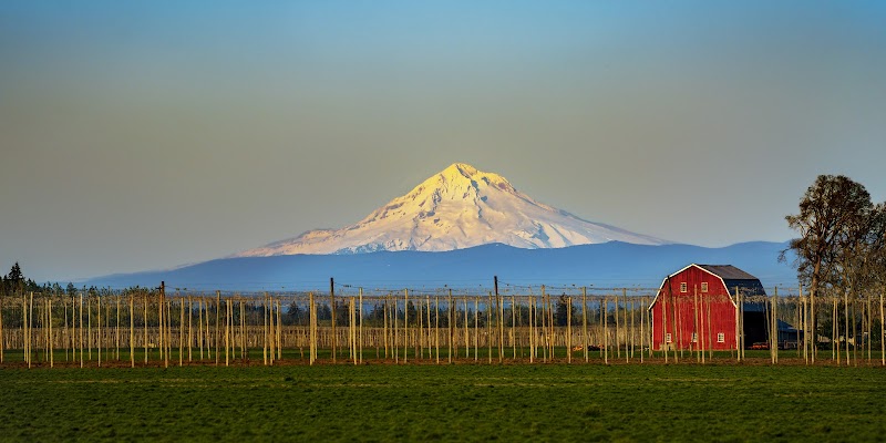 Majestic Peaks: Mount Hood, Oregon - Mount Hood
