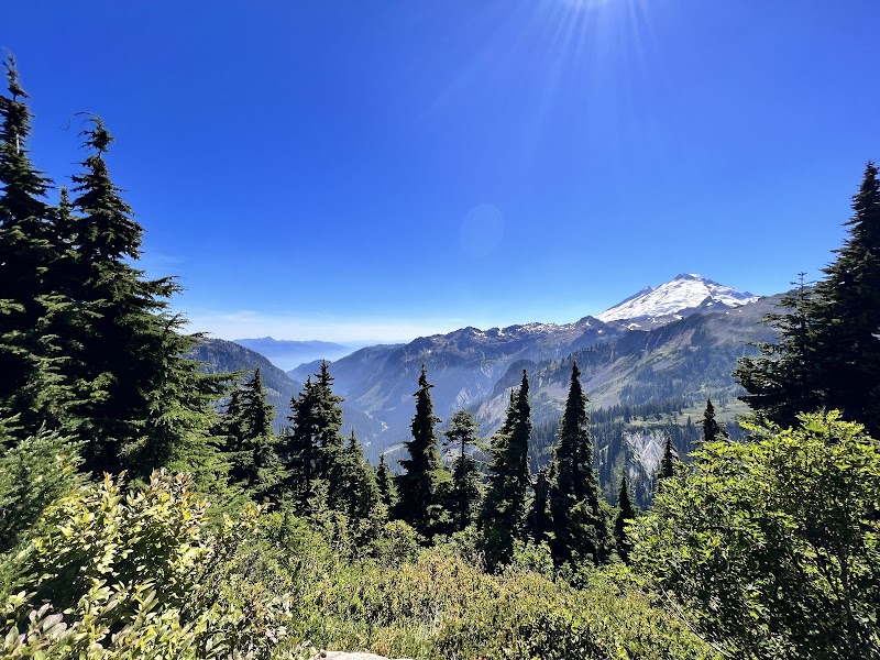 Majestic Views of Mount Baker surrounding landscape