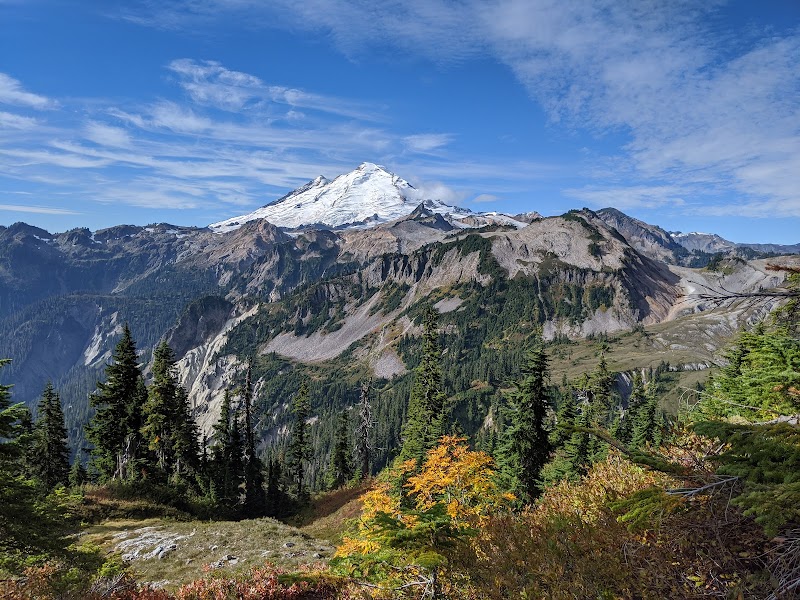 Majestic Views of Mount Baker - Mount Baker