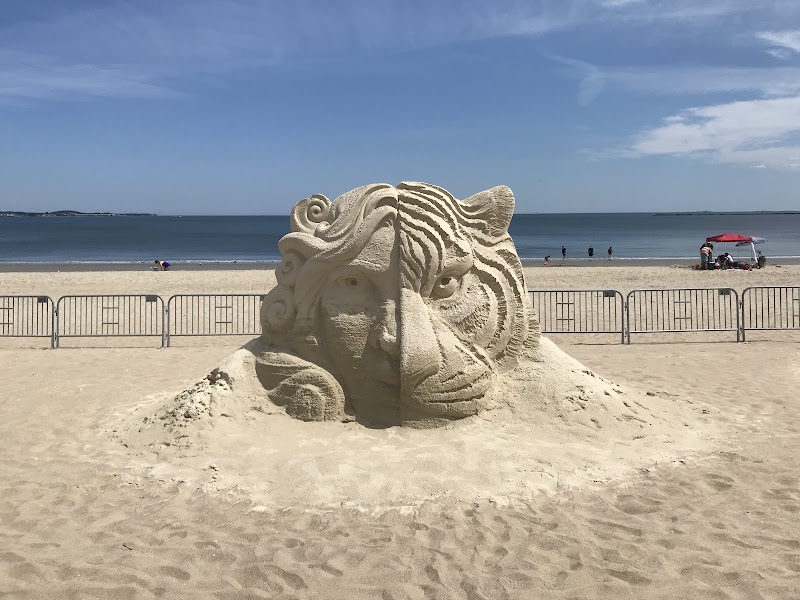 Seaside Serenity: Revere Beach surrounding landscape