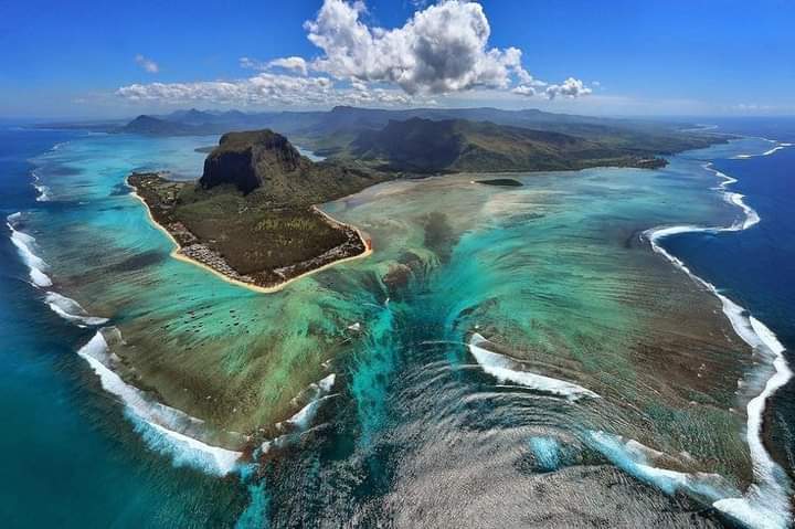 Majestic Water Lilies of Mauritius - Mauritius Island