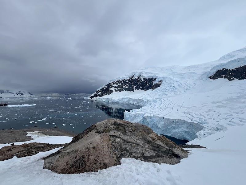 Icebound Wonder: Neko Harbor - Neko Harbor