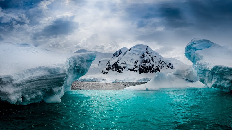 Icy Paradise: Discover Half Moon Island - Half Moon Island