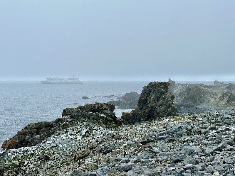 Icy Paradise: Discover Half Moon Island - Half Moon Island