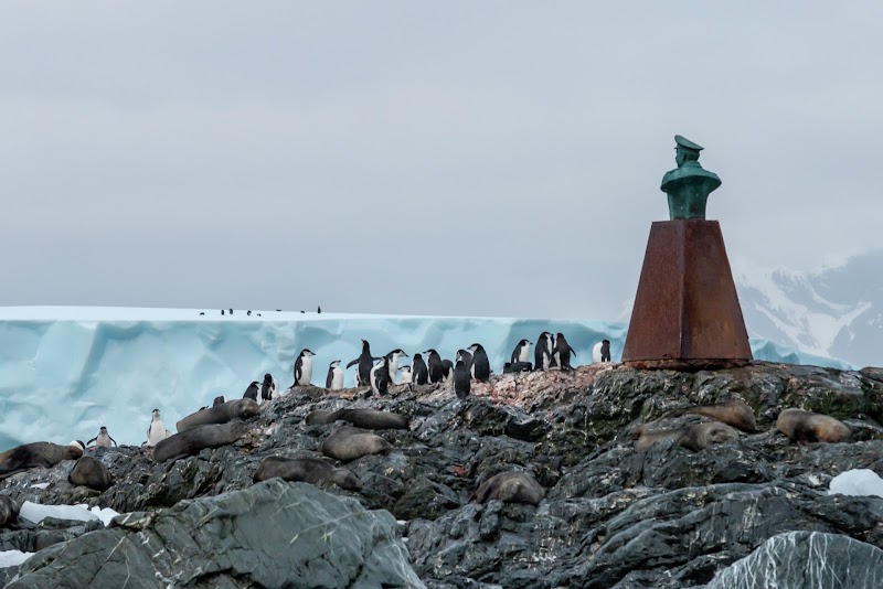Discovering Elephant Island's Wild Charms - Elephant Island