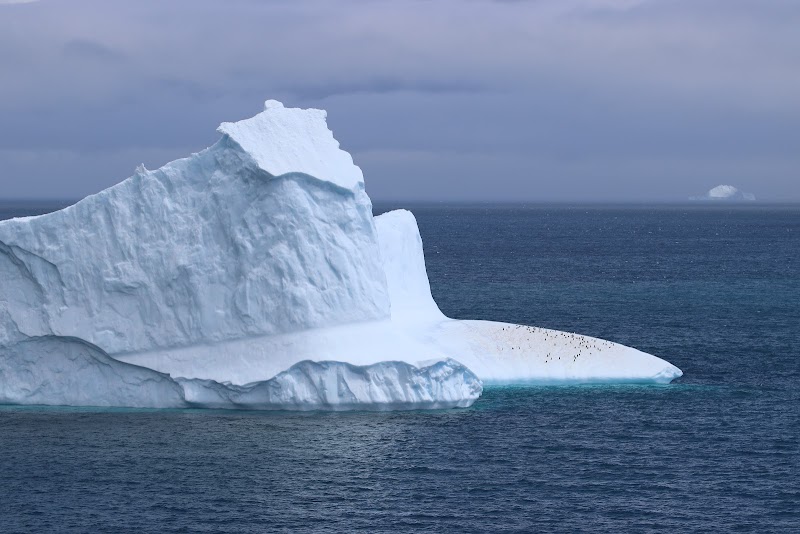 Discovering Elephant Island's Wild Charms - Elephant Island
