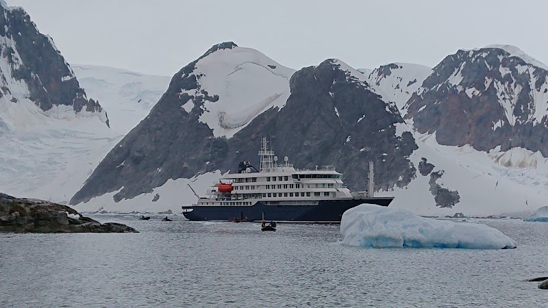 Wildlife Wonders at Petermann Island - Petermann Island