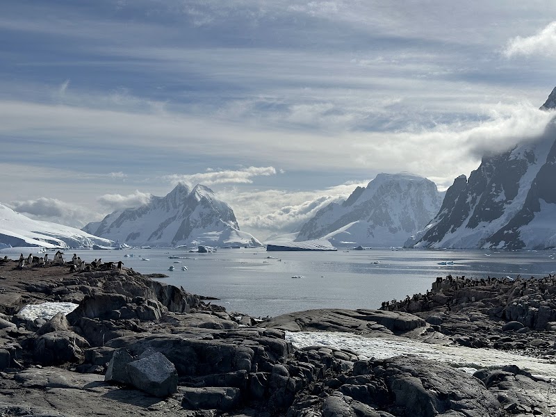 Wildlife Wonders at Petermann Island - Petermann Island