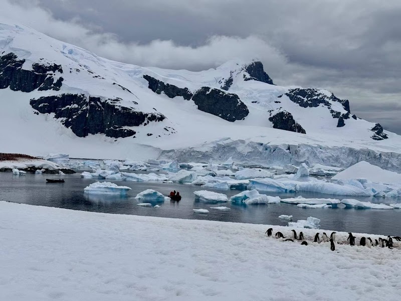 Wildlife Paradise: Cuverville Island - Cuverville Island