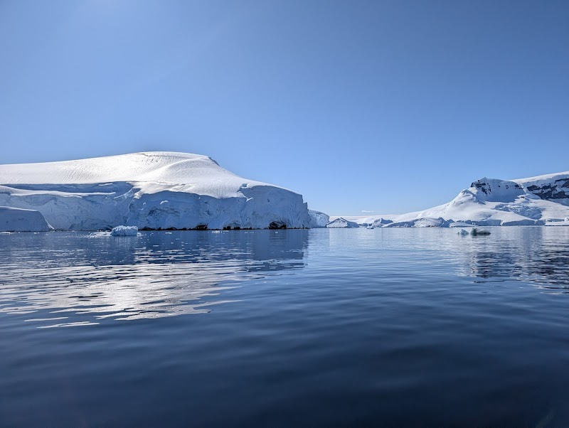 Wildlife Paradise: Cuverville Island - Cuverville Island
