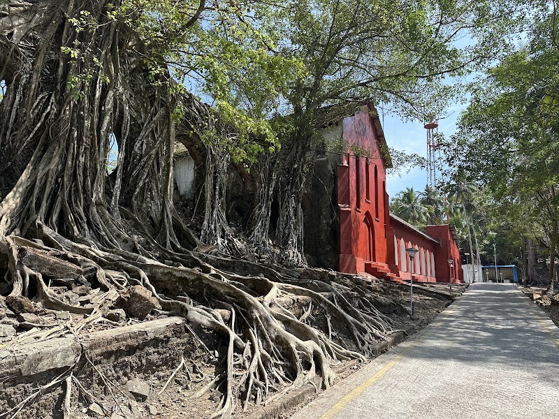 Island Escape: Discover Netaji Subhash Chandra Bose Island - Netaji Subhash Chandra Bose Island