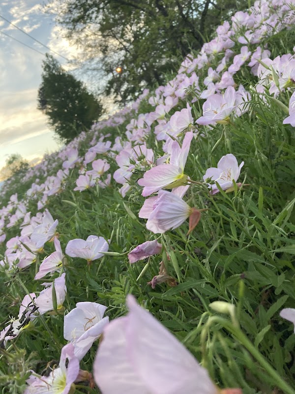 Discover the Serenity of Dry Valley - Dry Valley