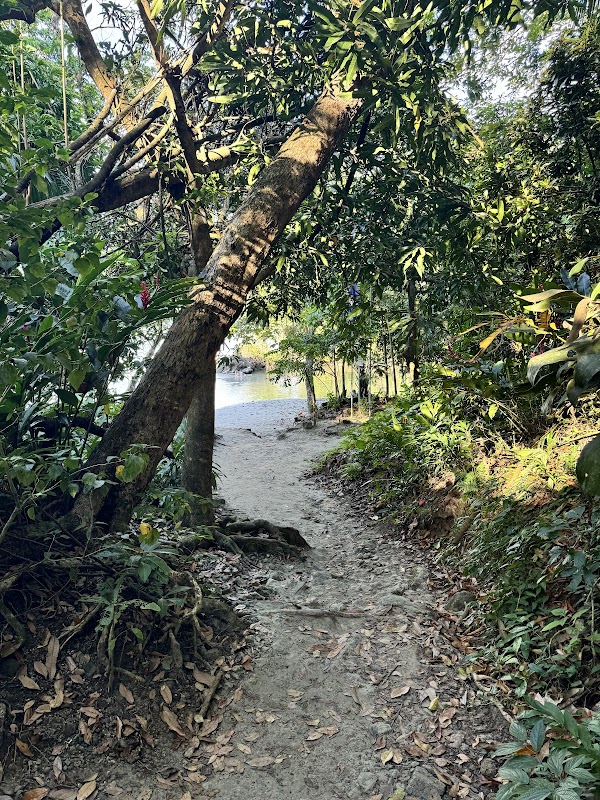 Biesanz Beach: A Coastal Gem in Quepos - Biesanz Beach
