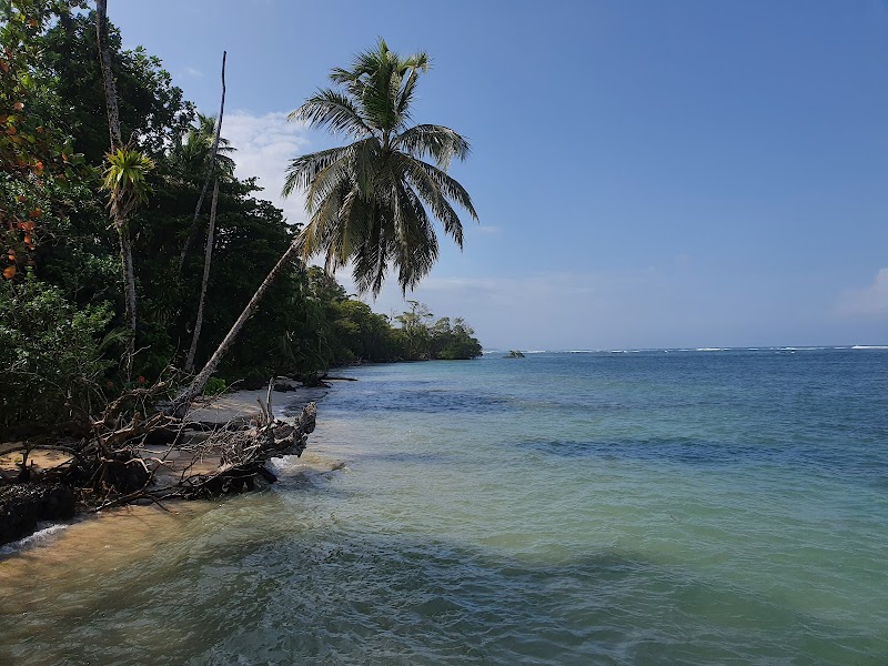 Bocas Town, Bocas del Toro adventures