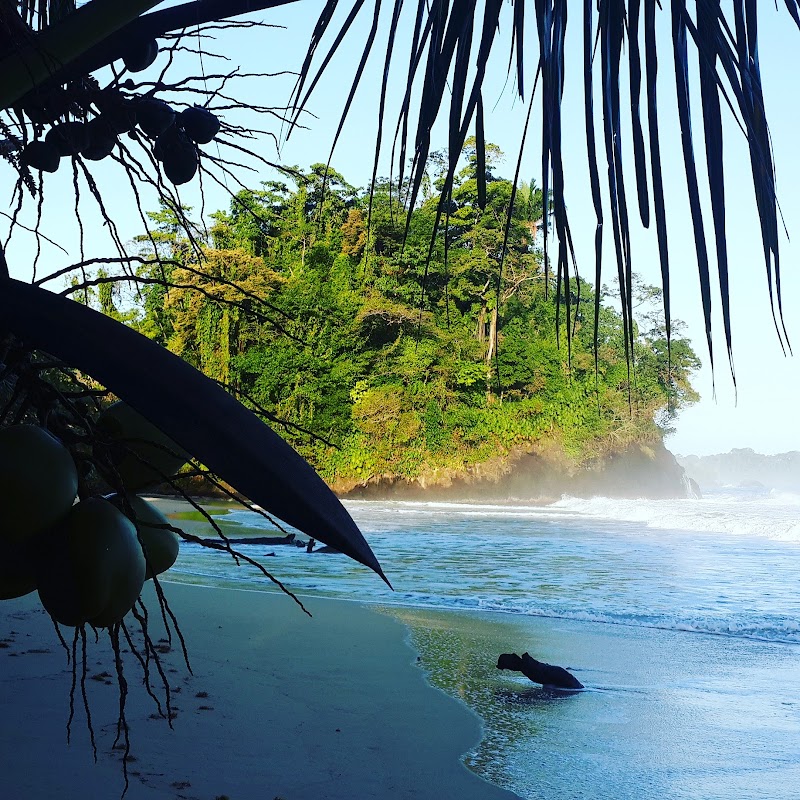 Tropical Paradise: Bastimentos Island - Bastimentos Island