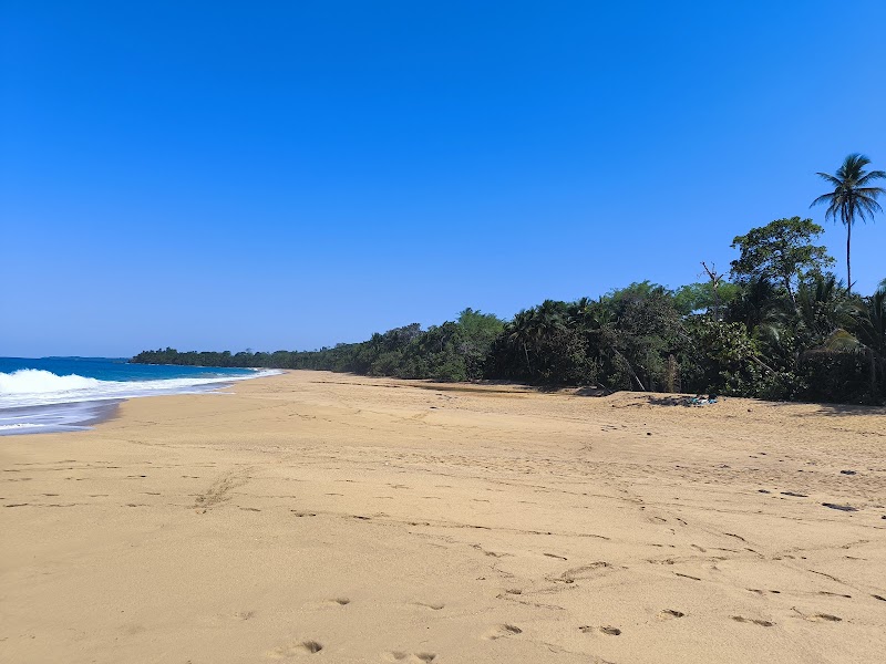 Sandy Retreat: Playa Bluff, Panama - Playa Bluff