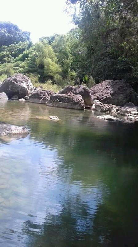 Nature's Retreat: Cerro Verde, Puebla - Cerro Verde
