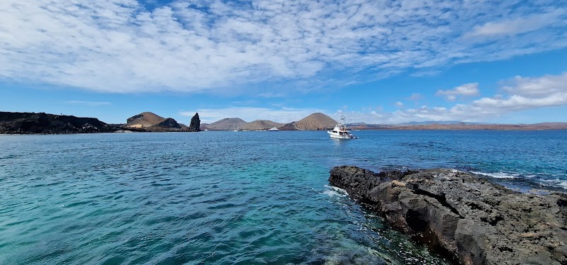 Paradise Found: Bartolomé Island's Natural Wonder - Bartolomé Island